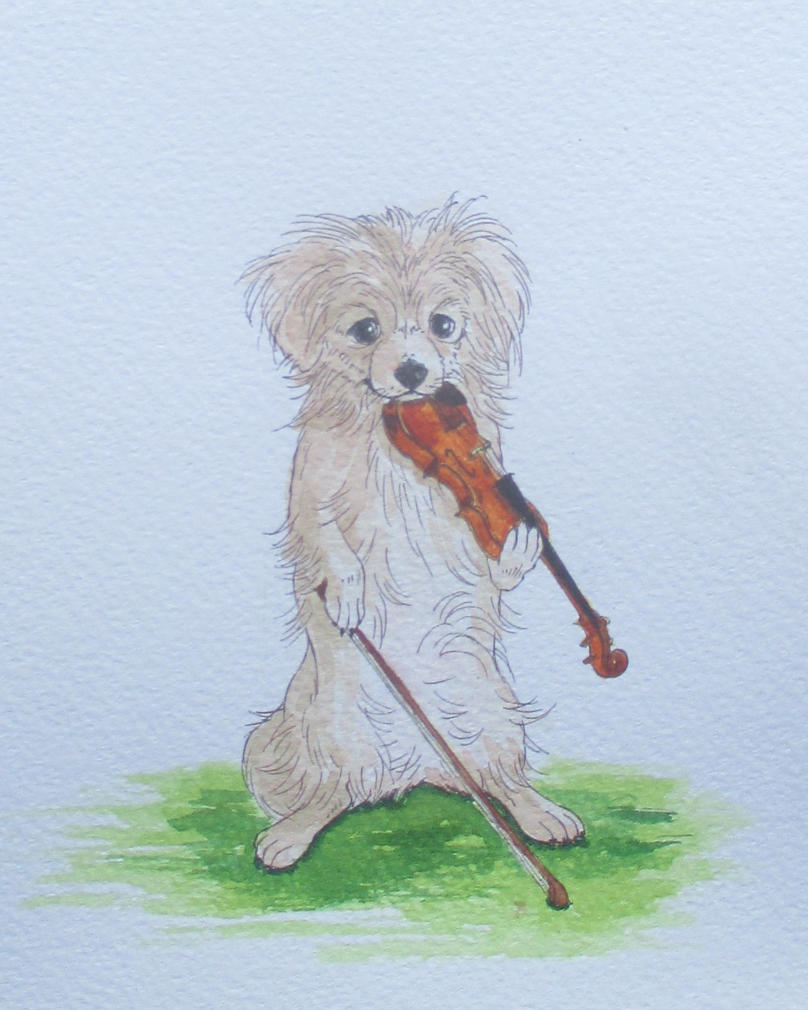 バイオリンを弾く犬