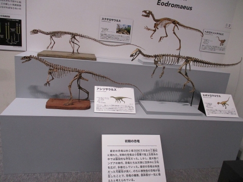 三畳紀の恐竜