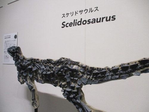 スケリドサウルス