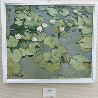 沖田泰介　（大阪）　浅い池に咲く睡蓮の花