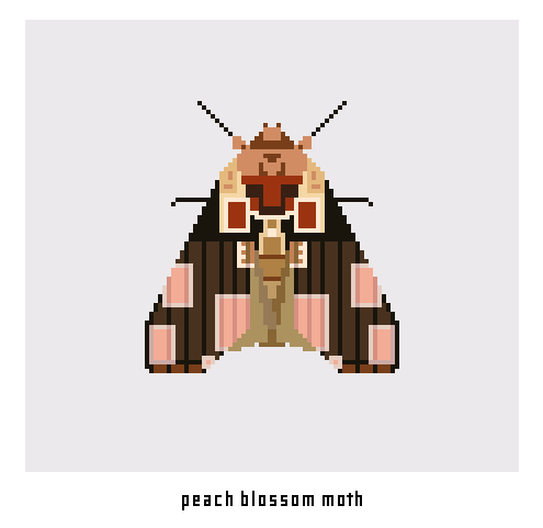 moth1.png