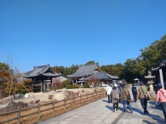 屋島寺2
