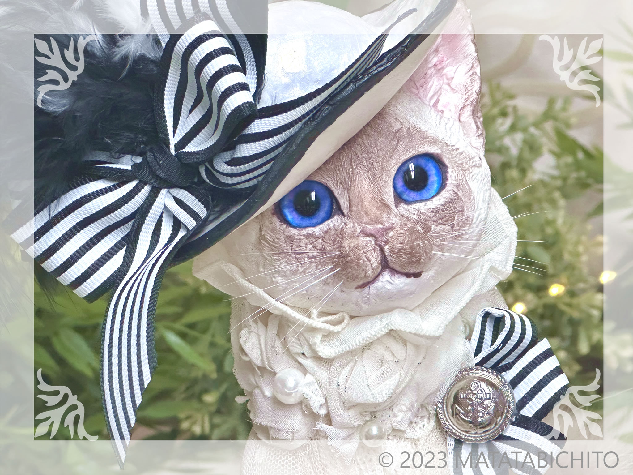 【CAT】マイ・フェア・キティ