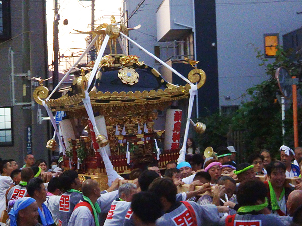 2023年 神奈川県平塚市四之宮 前鳥神社 例大祭 神輿渡御