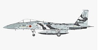 ファインモールド 1/72 スペシャルマーキングシリーズ 航空自衛隊 F-15J アグレッサー 904号機 ブラック/ホワイト