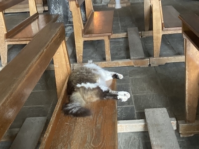 教会内でお昼寝していた