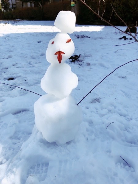 snowman202402-2.jpg