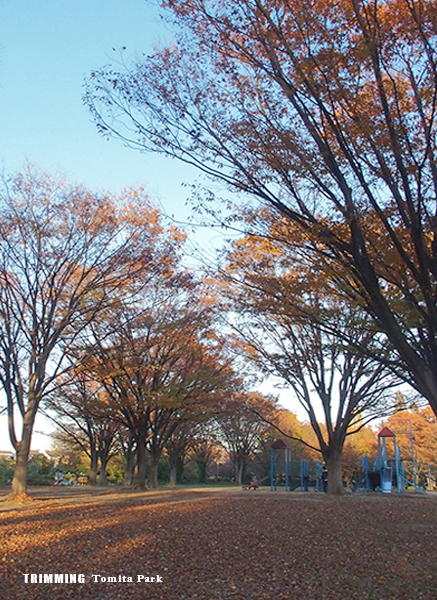 富田公園